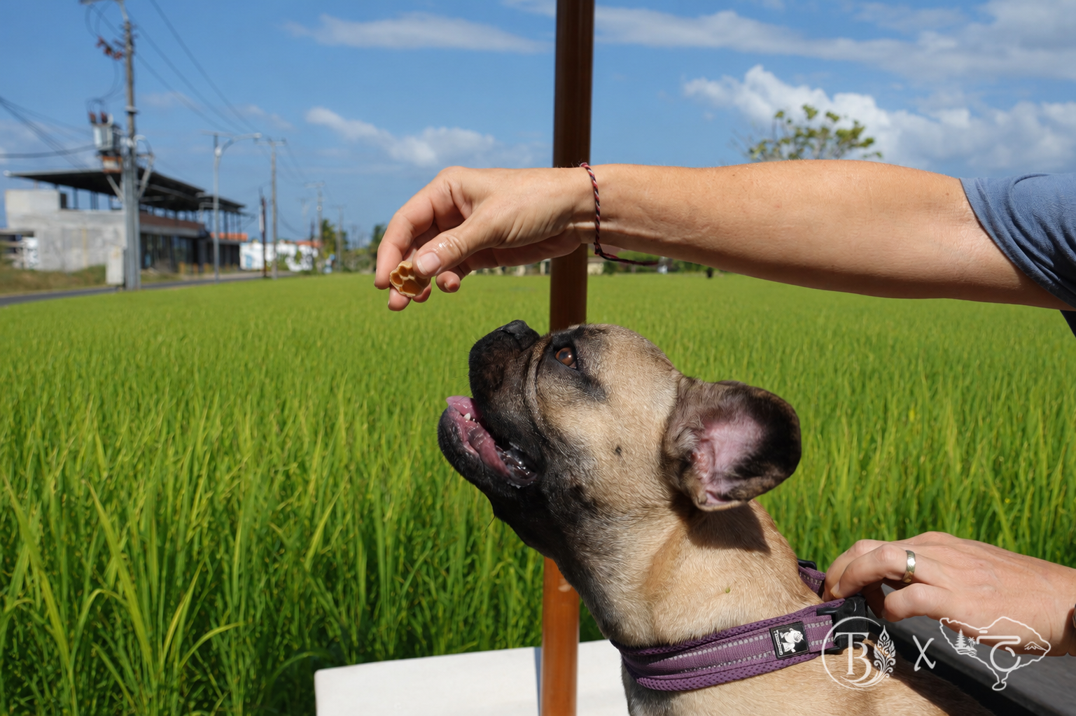Kedungu Holiday Photographer